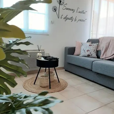 Ferienwohnung Proche Aeroport A Pied, Le Reve Rose. Tillé Exterior foto