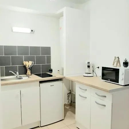 Ferienwohnung Proche Aeroport A Pied, Le Reve Rose. Tillé Exterior foto