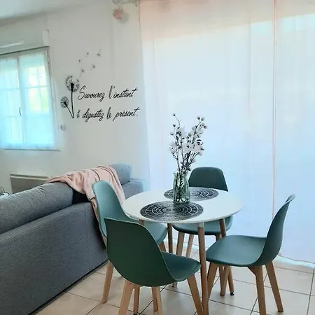 Ferienwohnung Proche Aeroport A Pied, Le Reve Rose. Tillé Exterior foto