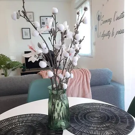 Ferienwohnung Proche Aeroport A Pied, Le Reve Rose. Tillé Exterior foto