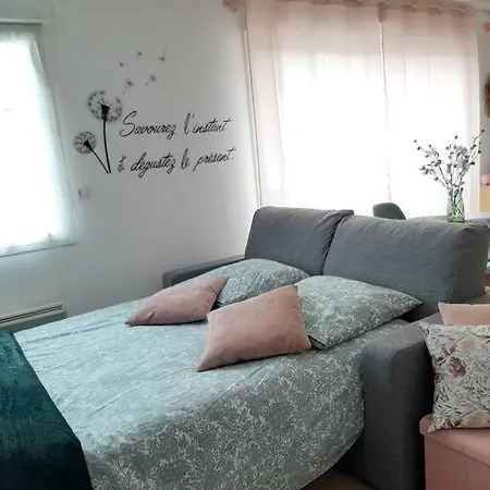 Ferienwohnung Proche Aeroport A Pied, Le Reve Rose. Tillé Exterior foto