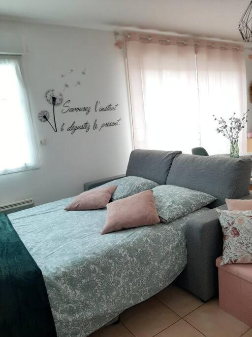 Apartment Proche Aeroport A Pied, Le Reve Rose. Tillé