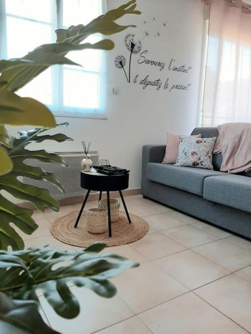 Apartment Proche Aeroport A Pied, Le Reve Rose.