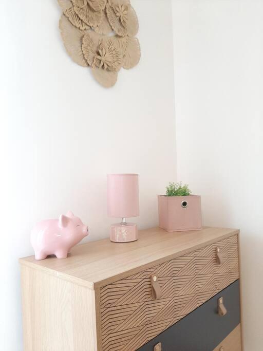 Proche Aeroport A Pied, Le Reve Rose. Apartment *