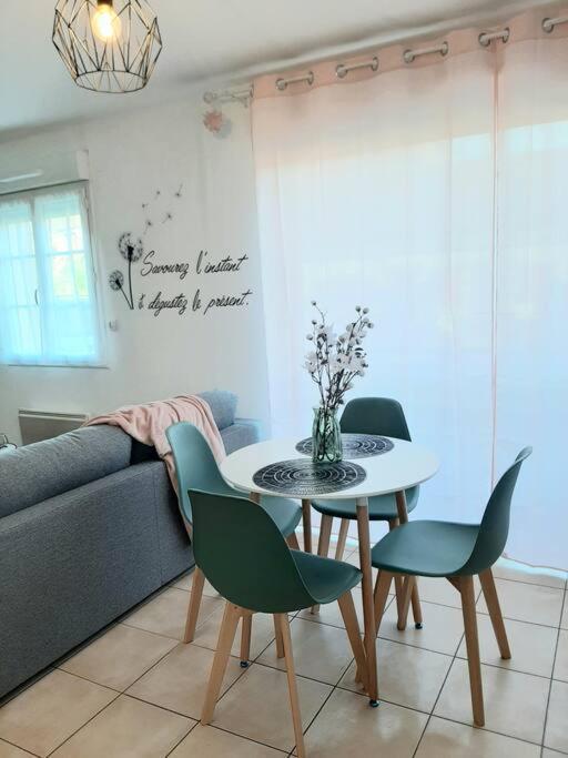 Proche Aeroport A Pied, Le Reve Rose. Apartment Tille